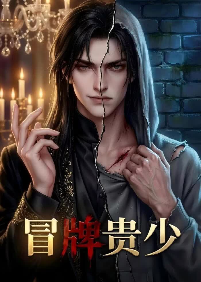 冒牌贵少